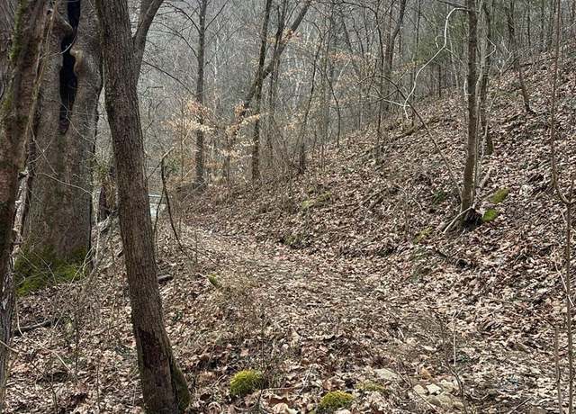 Property at 11671 Ky-11, Woollum, KY 40906