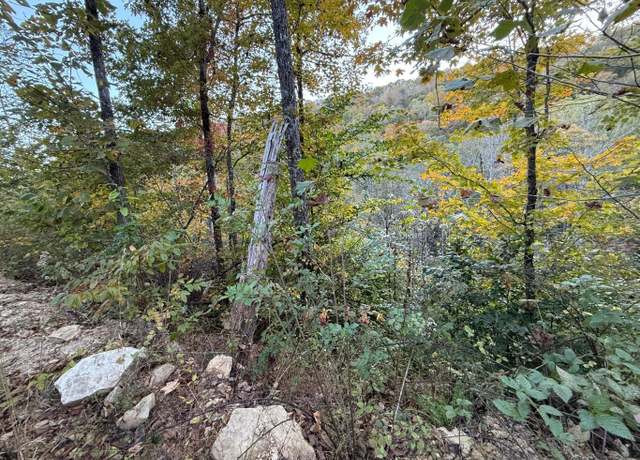 Property at 30 Hwy 89, Livingston, KY 40445