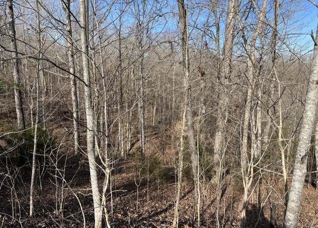 Property at Lot 63 East Willow Point Rd, Monticello, KY 42633