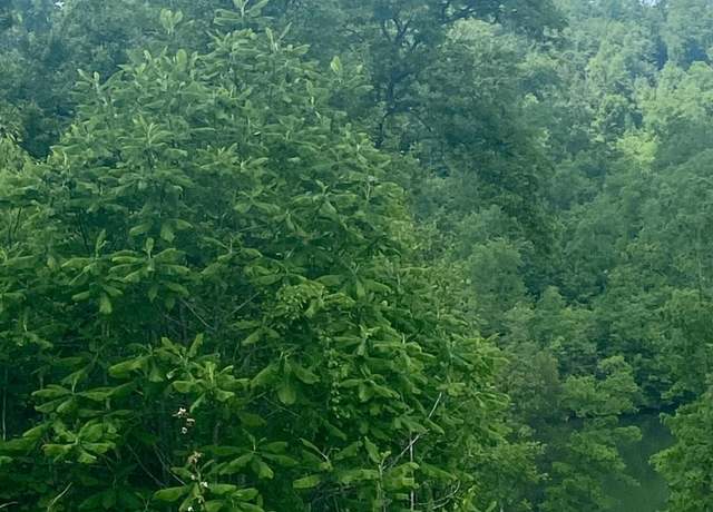 Property at Lot 5 Sleepy Hollow Rd, East Bernstadt, KY 40729