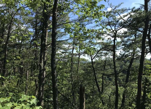 Property at 0 South Fork 2000, Stanton, KY 40380