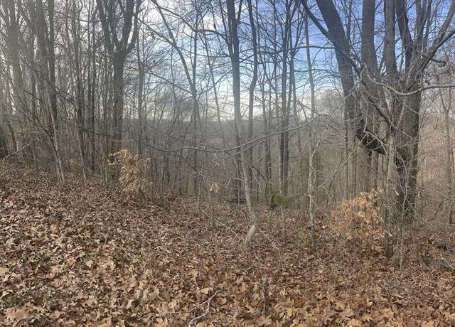 Property at Lot 35 Laurelwood, Nancy, KY 42544