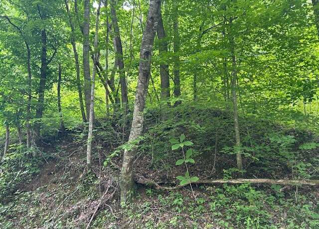 Property at 00 Otter Creek Rd, Manchester, KY 40962