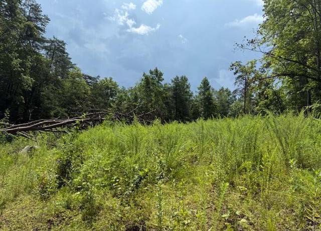 Property at 0000 Highway 1569, Wellington, KY 40387