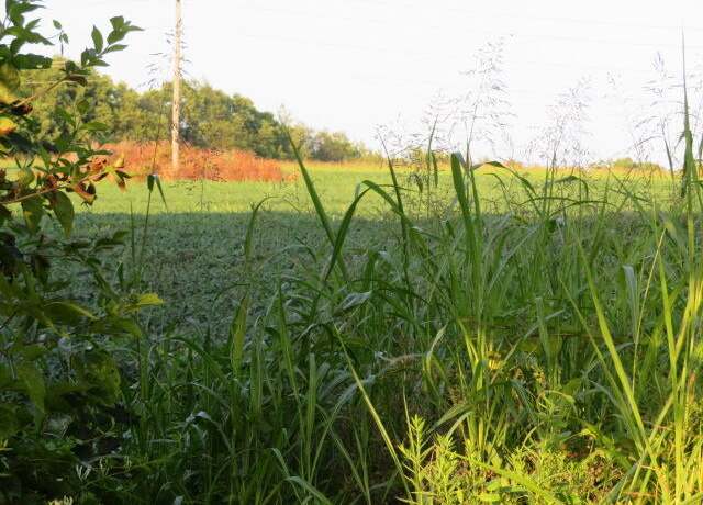 Property at 7850 Veterans Memorial Pkwy, Winchester, KY 40391