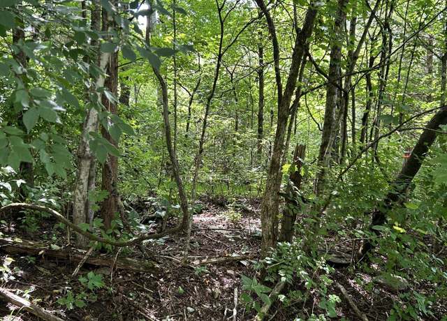 Property at 2184 Shadrick Ferry Rd, Frankfort, KY 40601