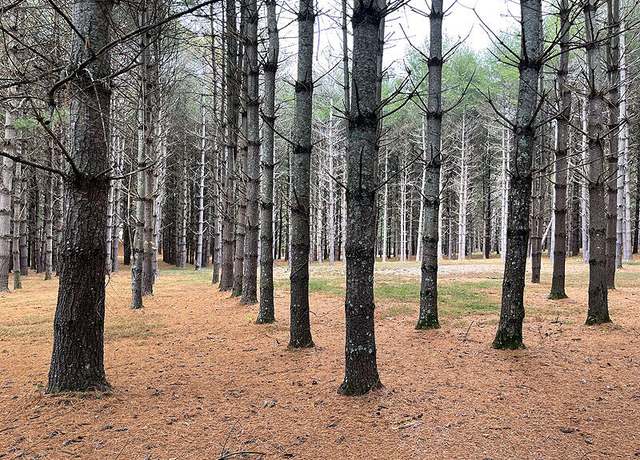 Property at Lot 95 Edgewater, Russell Springs, KY 42642