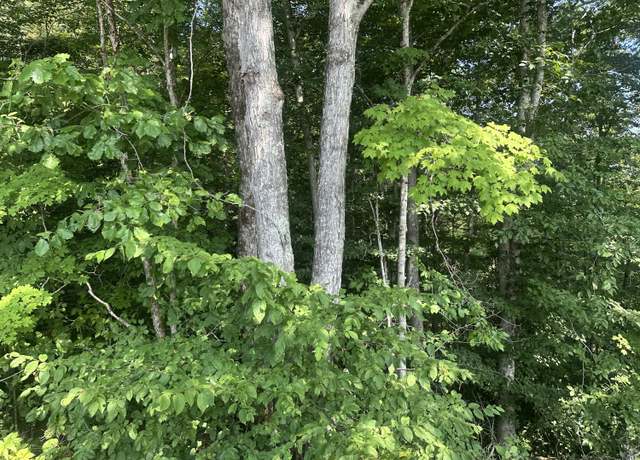 Property at 43 Rock Springs Rd, Celina, TN 38551