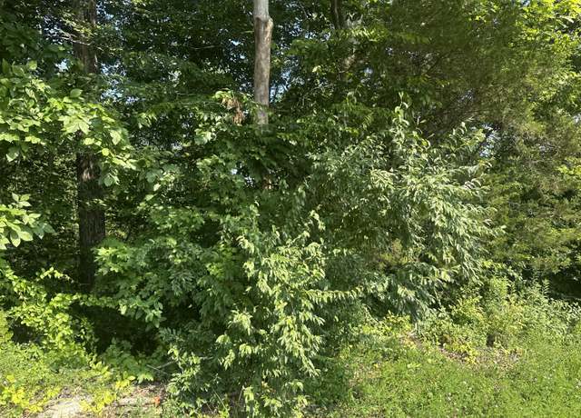 Property at Lot 26 Rock Springs Rd, Celina, TN 38551