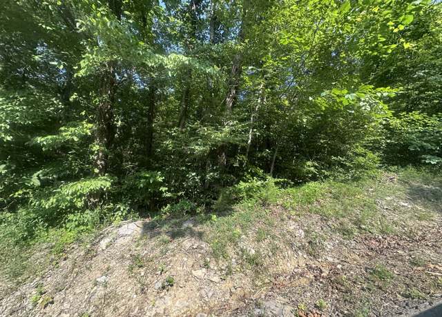 Property at Lot 49 Rock Springs Rd, Celina, TN 38551