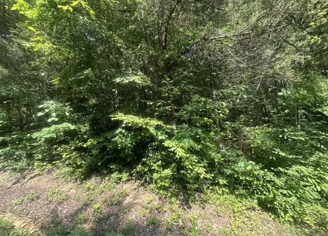 Property at Lot 25 Rock Springs Rd, Celina, TN 38551