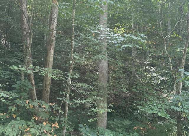 Property at 9999 May Fork Rd, Manchester, KY 40962