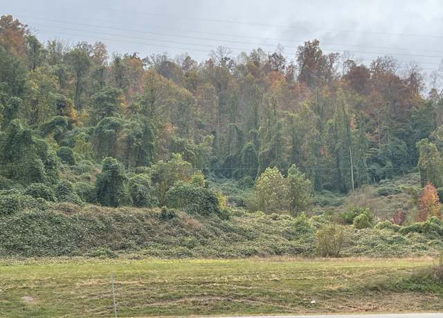 Property at 0 Turkey Crk, Flat Lick, KY 40935