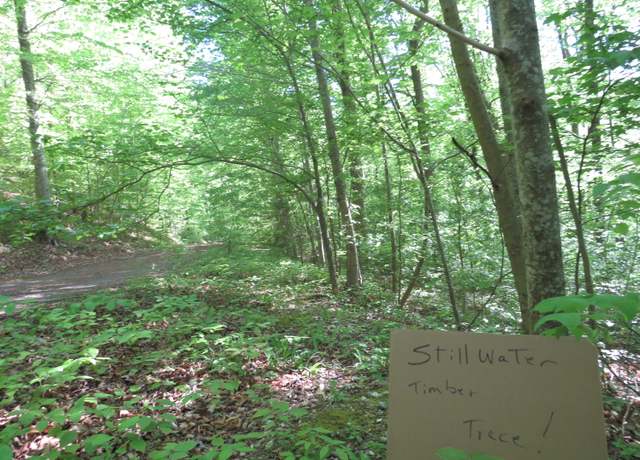 Property at 9999 Lots 225,227,228231 Stillwater, Russell Springs, KY 42642