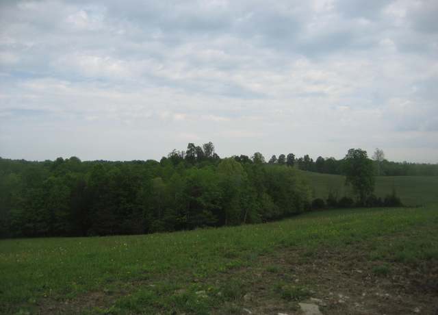 Property at 003 Buckler Ln, Olive Hill, KY 41164
