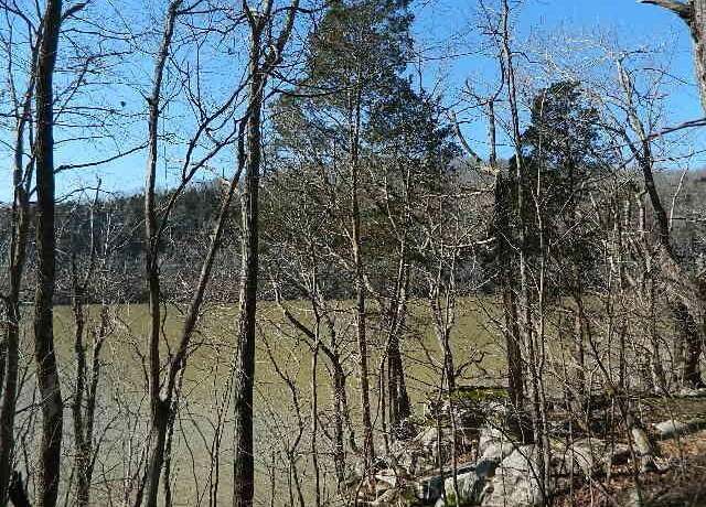 Property at 86 North Fork Dr, Burnside, KY 41519