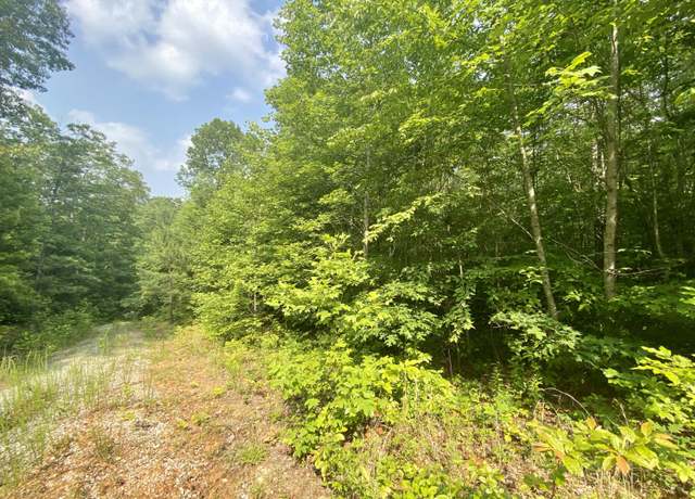 Property at 205 Farm House Ln, Miracle, KY 40856