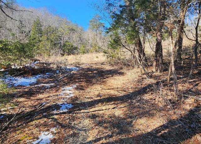 Property at 0 Raymond dr Dr, Burnside, KY 42519