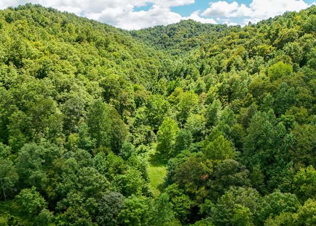 Property at 0 Woolum Disappointment Hollow Rd, Girdler, KY 40943