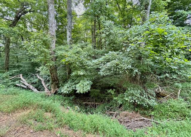 Property at 9999 Old Zula Loop, Monticello, KY 42633