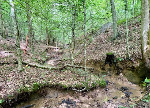 Property at 00 Coal Branch Rd, Beattyville, KY 41311