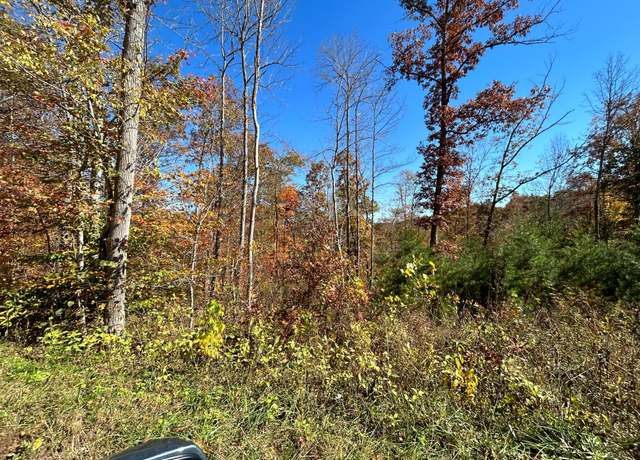 Property at Lot # 7 Buck Creek Cir, Somerset, KY 42501