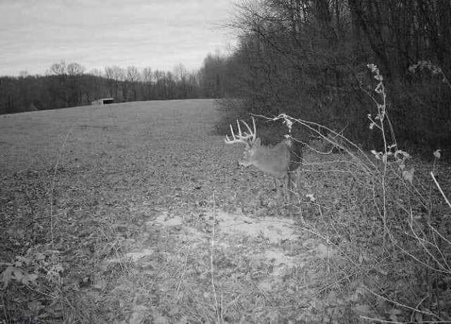 Property at 1111 Clear Branch Rd, Liberty, KY 42539