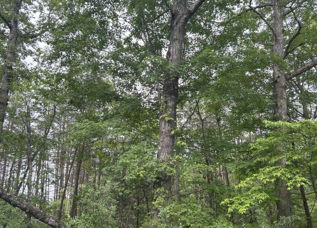 Property at 3C Loop Rd, Williamsburg, KY 40769