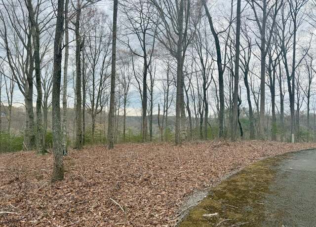 Property at Lot Paradise Aly, Russell Springs, KY 42642