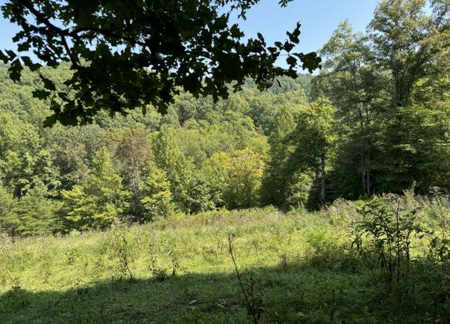 Property at 999-1 Big Cave Rd, Orlando, KY 40460