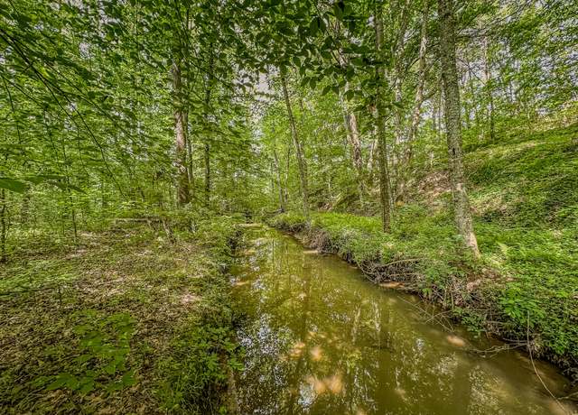 Property at 9999 Yellow Springs Road Rd, London, KY 40741