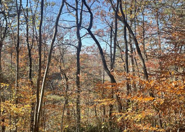 Property at Lot 193 Stillwater, Russell Springs, KY 42642
