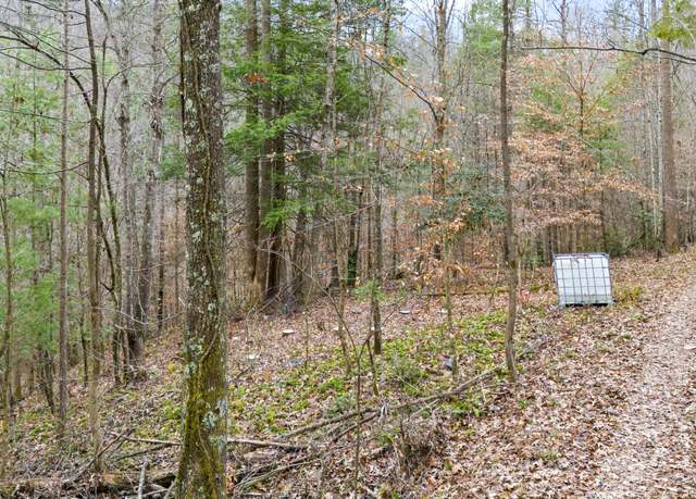 Property at Lot 21 Lacey Ln, Campton, KY 41301