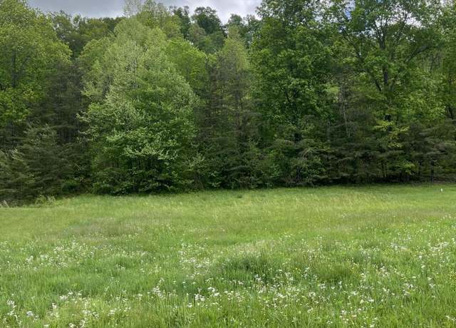 Property at TBD N Carrington Green Rd, Salt Lick, KY 40371