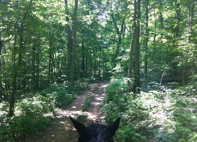 Property at 9999 Hales Fork Rd, Dewitt, KY 40930