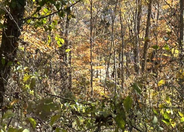 Property at Lot# 36 Buck Creek Cir, Somerset, KY 42501