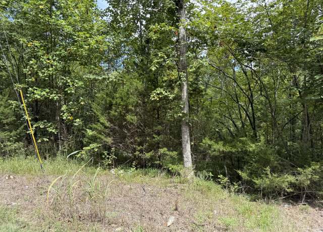Property at 00 Ray Dean Dishman Rd, Monticello, KY 42633