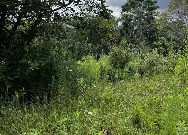 Property at 1998 Minor Rd, West Liberty, KY 41472