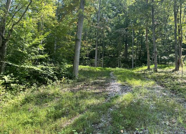 Property at 55 Yellowstone Dr, East Bernstadt, KY 40729
