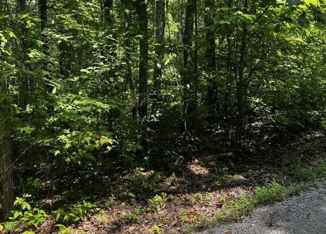 Property at 0 Ryan Rd, Wellington, KY 40387