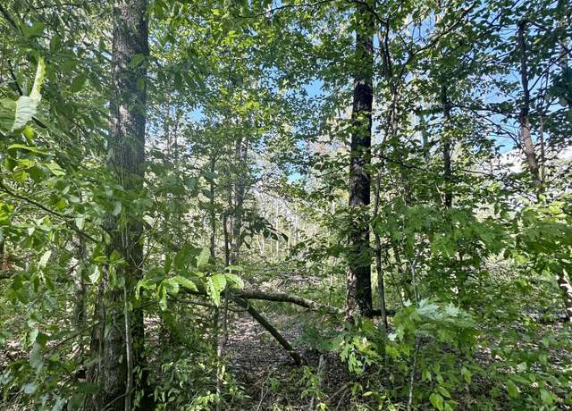 Property at 1800 Rice Rd, Morehead, KY 40351