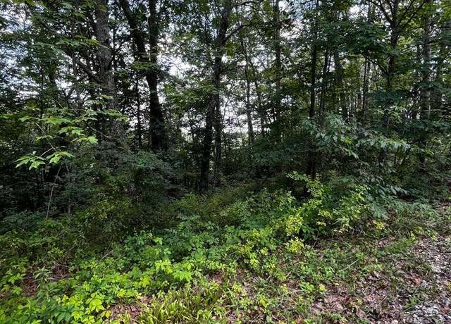 Property at 0 Lot 80 Ivy Ln, Wellington, KY 40387