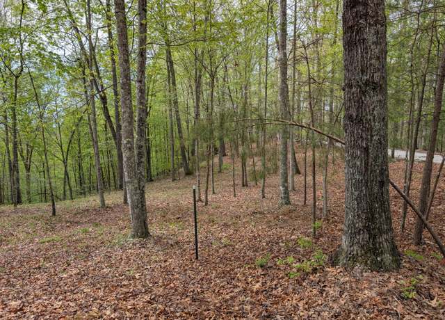 Property at 15 Sunrise Mountain Retreat Rd, Beattyville, KY 41311