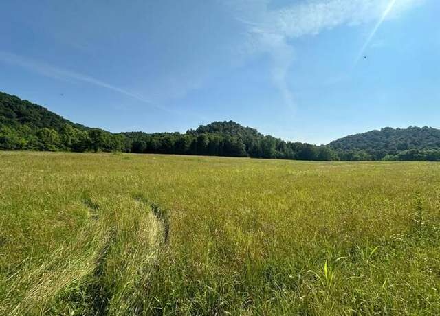Property at Lot 10 Lawsons Bottom Rd, Burkesville, KY 42717