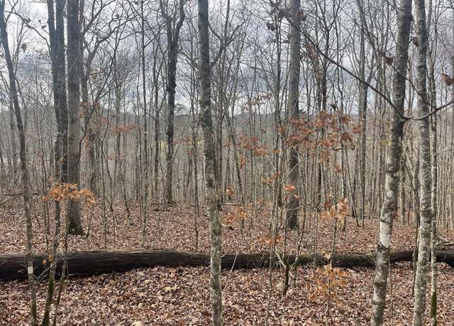 Property at Lot 41 Paradise Acres, Somerset, KY 42501
