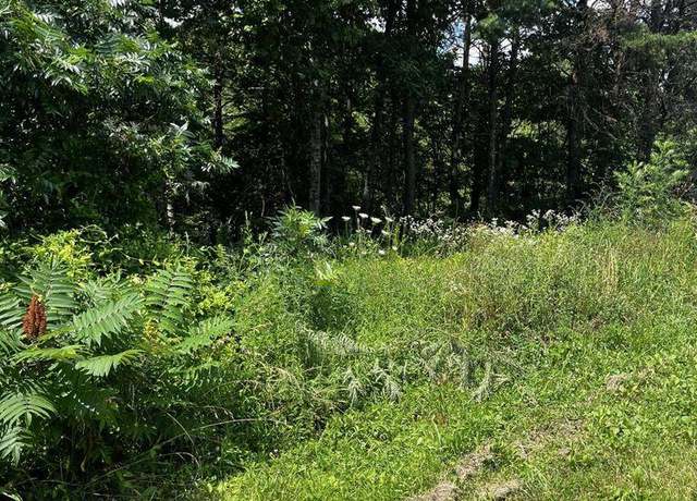 Property at 0 Lot 38 Turkey Ridge Rd, Wellington, KY 40387