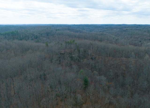 Property at 0 South Fork 2200, Stanton, KY 40380