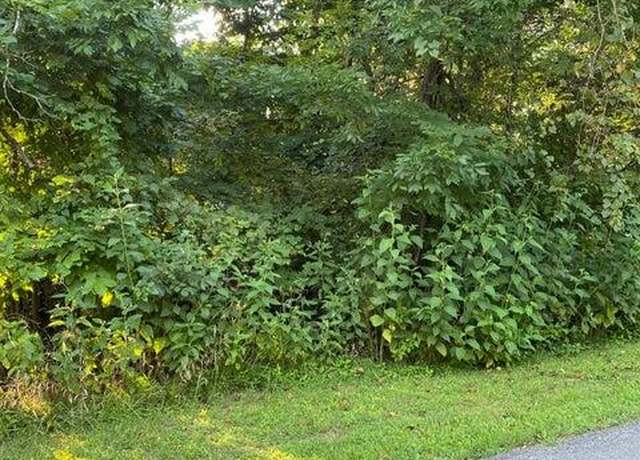 Property at LT 908 Stonegate Dr, Burnside, KY 42519