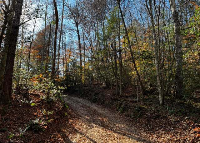 Property at 0 Fixer Rd, Zoe, KY 41397