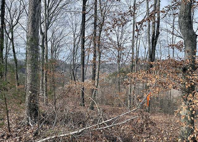 Property at Lot 83 Stillwater, Russell Springs, KY 42642